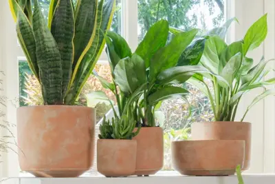 TS Collection bloempot  keramiek 8x8cm terra - afbeelding 3