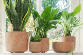 TS Collection bloempot  keramiek 8x8cm terra - afbeelding 3