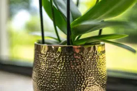 TS Collection bloempot kristy metaal 18x17cm goud - afbeelding 3