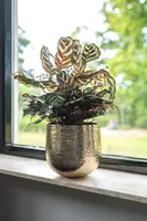 TS Collection bloempot kristy metaal 18x17cm goud - afbeelding 2