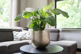 TS Collection bloempot kristy metaal 25x24cm goud - afbeelding 2