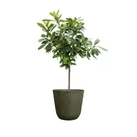 TS Collection bloempot  kunststof 21x19cm  - afbeelding 2