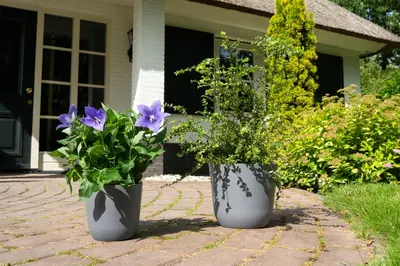 TS Collection bloempot  kunststof 27x25cm grijs - afbeelding 2