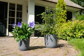 TS Collection bloempot  kunststof 27x25cm grijs - afbeelding 2
