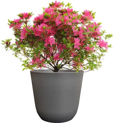 TS Collection bloempot  kunststof 27x25cm grijs - afbeelding 4