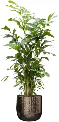 TS Collection bloempot  metaal 44x40cm goud - afbeelding 2