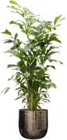 TS Collection bloempot  metaal 44x40cm goud - afbeelding 2