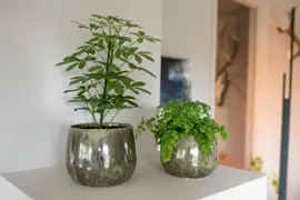 TS Collection bloempot odile keramiek 10x8cm groen - afbeelding 3