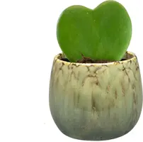 TS Collection bloempot odile keramiek 10x8cm groen - afbeelding 2