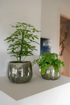 TS Collection bloempot odile keramiek 15x13cm groen - afbeelding 3