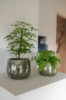 TS Collection bloempot odile keramiek 15x13cm groen - afbeelding 3