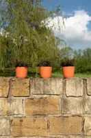 TS Collection Bloempot Palermo 13x12 cm Koraal - afbeelding 4
