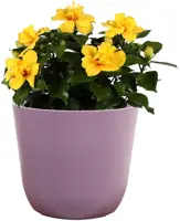 TS Collection Bloempot Palermo 13x12 cm Lavendel - afbeelding 2