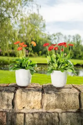 TS Collection Bloempot Palermo 13x12 cm Marble cloud - afbeelding 4