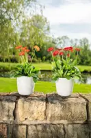 TS Collection Bloempot Palermo 13x12 cm Marble cloud - afbeelding 4