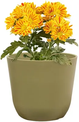 TS Collection Bloempot Palermo 13x12 cm Sage - afbeelding 2