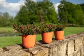 TS Collection Bloempot Palermo 17x15 cm Koraal - afbeelding 3