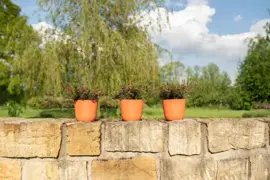 TS Collection Bloempot Palermo 17x15 cm Koraal - afbeelding 4