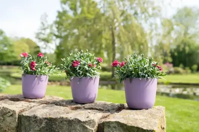 TS Collection Bloempot Palermo 17x15 cm Lavendel - afbeelding 3