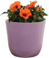 TS Collection Bloempot Palermo 17x15 cm Lavendel - afbeelding 2