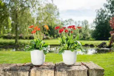 TS Collection Bloempot Palermo 17x15 cm Marble cloud - afbeelding 4