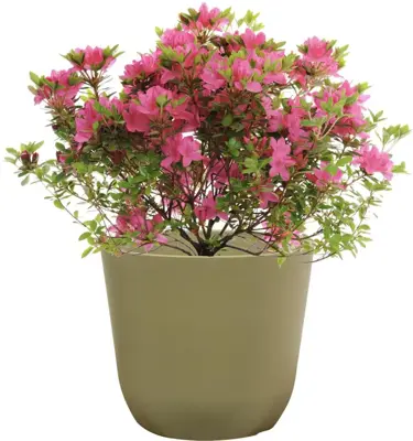 TS Collection Bloempot Palermo 17x15 cm Sage - afbeelding 2