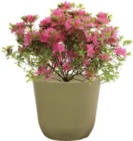 TS Collection Bloempot Palermo 17x15 cm Sage - afbeelding 2