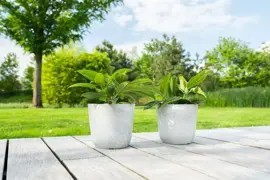 TS Collection Bloempot Palermo 23x22cm Marble cloud - afbeelding 4