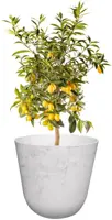 TS Collection Bloempot Palermo 23x22cm Marble cloud - afbeelding 2