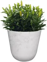 TS Collection Bloempot Palermo 27x25cm  Marble cloud - afbeelding 2