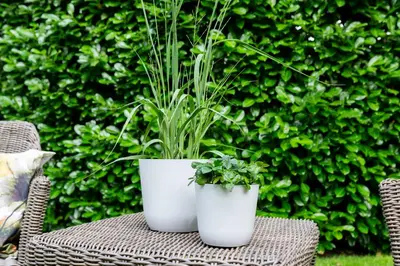 TS Collection bloempot palermo kunststof 13x12cm wit - afbeelding 2