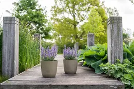 TS Collection bloempot palermo kunststof, steen 19x17cm clay - afbeelding 2