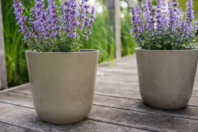 TS Collection bloempot palermo kunststof, steen 21x19cm clay - afbeelding 2