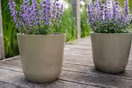 TS Collection bloempot palermo kunststof, steen 21x19cm clay - afbeelding 2