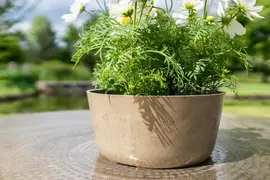 TS Collection bloempot palermo kunststof, steen 27x12cm clay - afbeelding 2