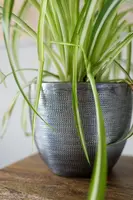 TS Collection bloempot rowen metaal 15x12cm lead - afbeelding 2