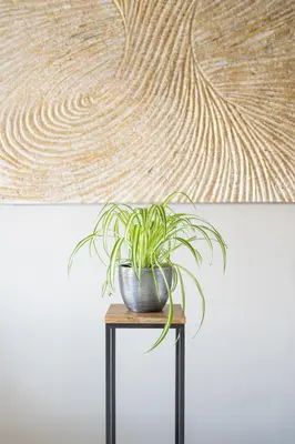 TS Collection bloempot rowen metaal 15x12cm lead - afbeelding 3