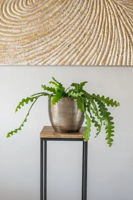 TS Collection bloempot rowen metaal 21x16cm gold - afbeelding 2