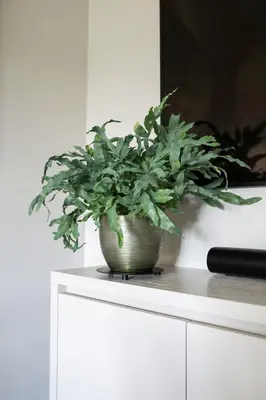 TS Collection bloempot rowen metaal 21x16cm new green - afbeelding 2