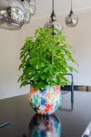 TS Collection bloempot sparkle metaal 28x25cm spring - afbeelding 2