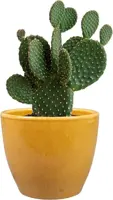 TS Collection bloempot sven keramiek 13x11cm mosterd - afbeelding 2