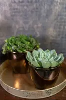 TS Collection bloempot sven keramiek 16x13cm goud - afbeelding 4