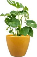 TS Collection bloempot sven keramiek 16x13cm mosterd - afbeelding 2