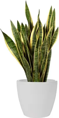 TS Collection bloempot sven keramiek 16x13cm wit - afbeelding 2