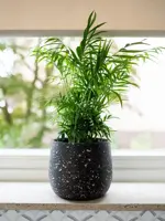 TS Collection bloempot tina steen 23x22cm terrazo black - afbeelding 3