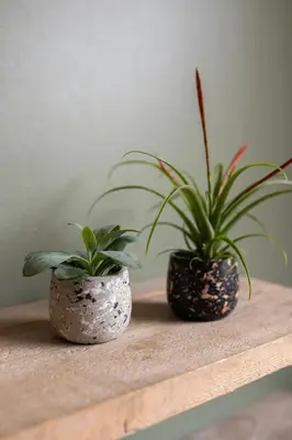 TS Collection bloempot tina steen 8x7cm terrazo black - afbeelding 2