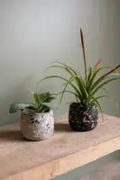 TS Collection bloempot tina steen 8x7cm terrazo black - afbeelding 2