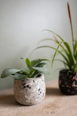 TS Collection bloempot tina steen 8x7cm terrazo grey - afbeelding 2