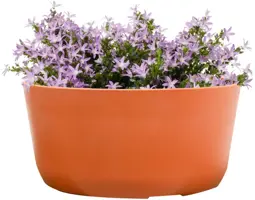 TS Collection Bowl Palermo 27x12 cm Koraal - afbeelding 2