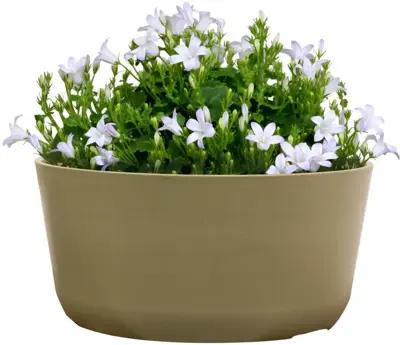 TS Collection Bowl Palermo 27x12 cm Sage - afbeelding 2